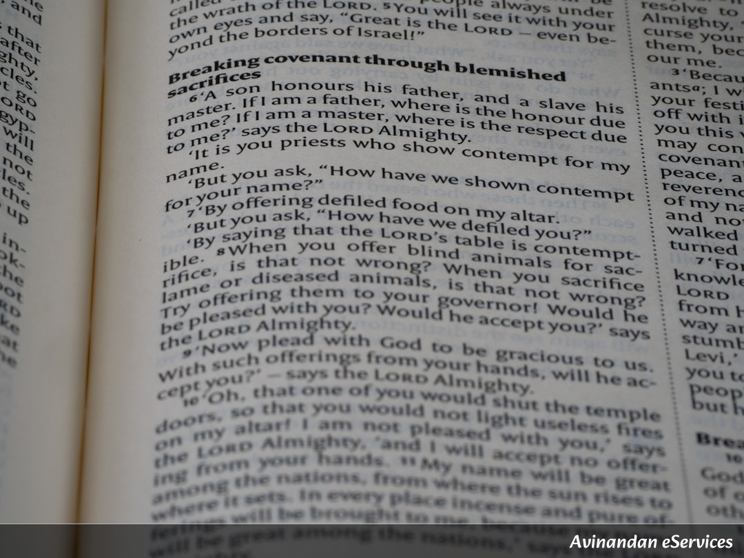 NCERT Explained: Class XI Biology, Chapter 10 - Cell Cycle and Cell Division: The Dance of Life