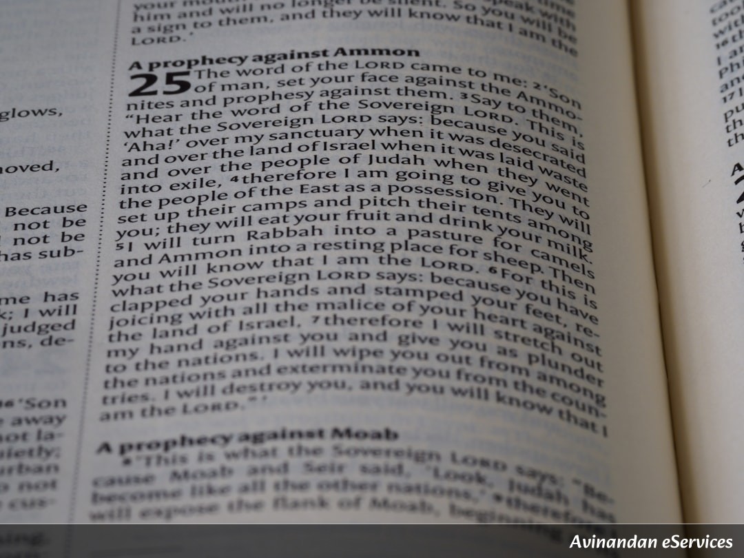 NCERT Explained: Class IX Political Science, Chapter 4 - Working of Institutions