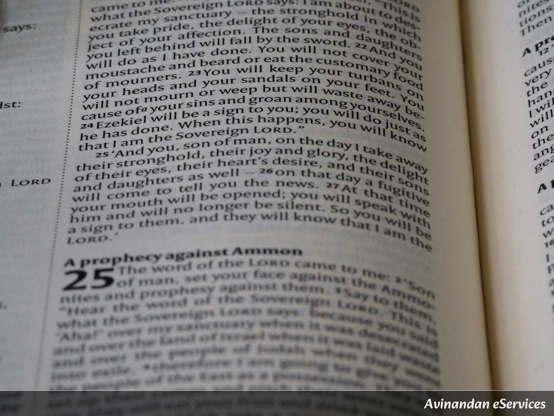 NCERT Explained: Class IX Political Science, Chapter 2 - Constitutional Design