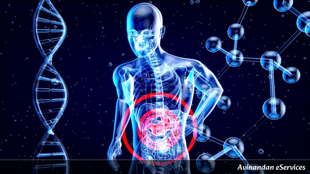 RRB NTPC & Group D Biology: Master the Human Muscular System – Complete Guide with Solved Questions