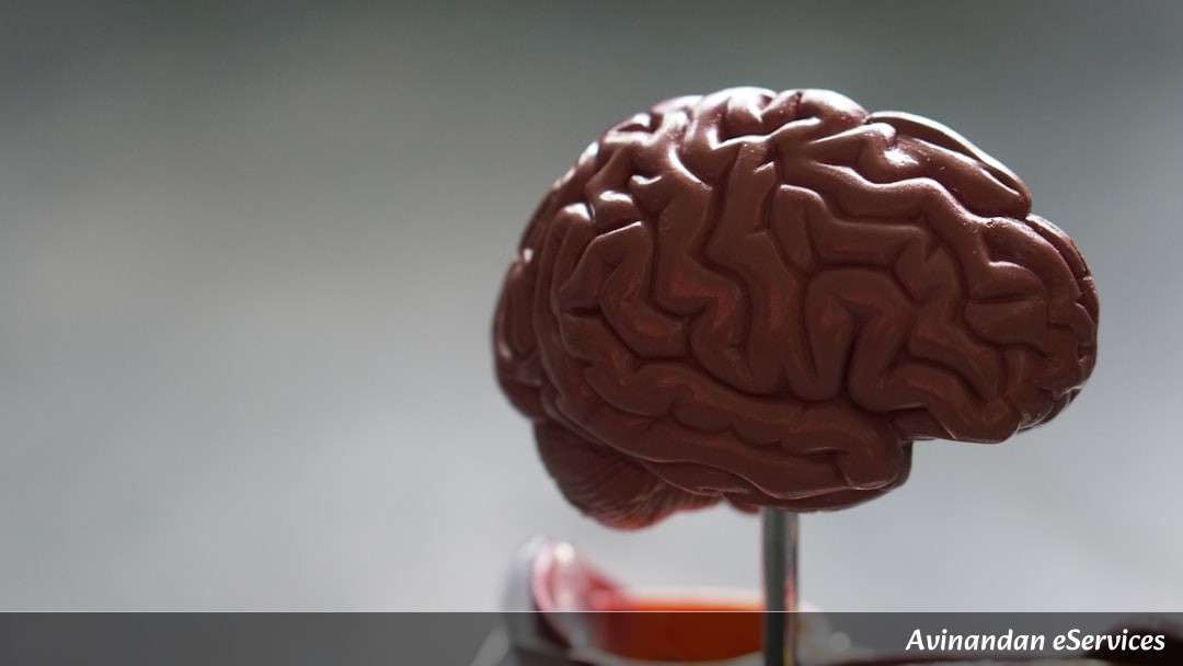 RRB NTPC & Group D Biology: Master the Human Nervous System – A Complete Guide